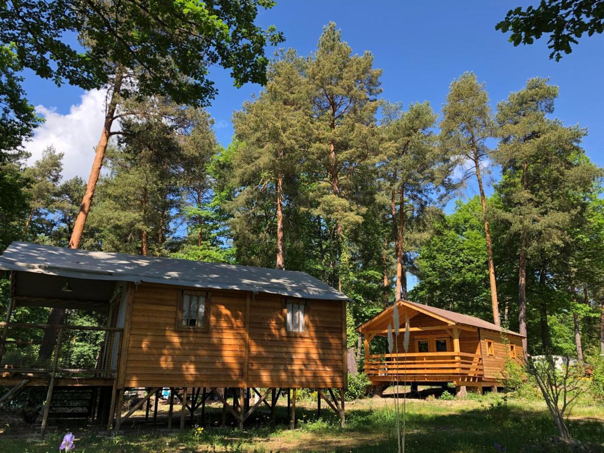 Camping Osenbach Luaran gambar